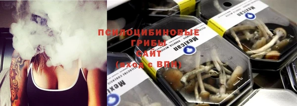 PSILOCYBIN Лабытнанги