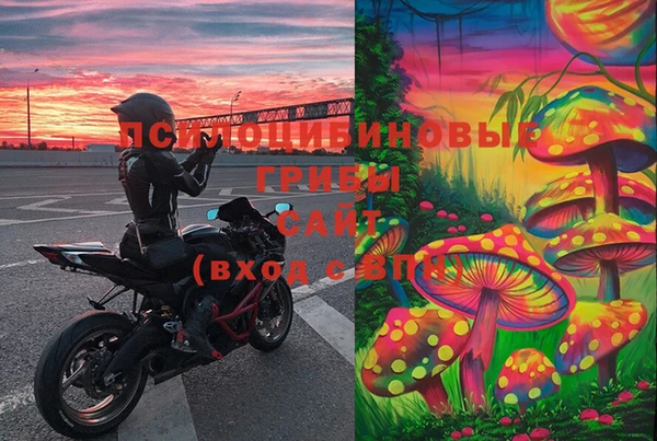 PSILOCYBIN Лабытнанги