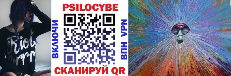 Галлюциногенные грибы Psilocybine cubensis Ак-Довурак